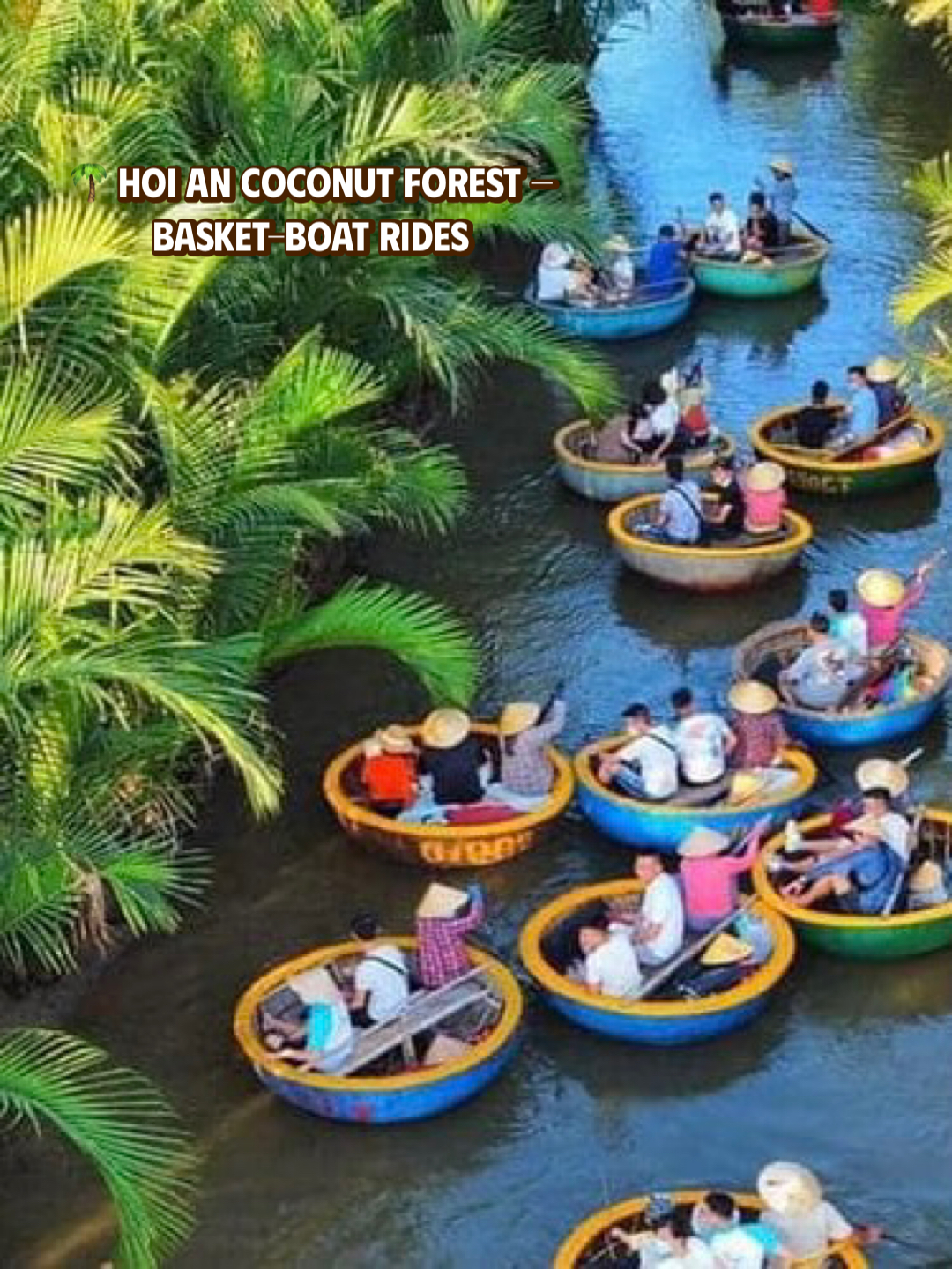Round bamboo basket boats paddling through the Bay Mau water-coconut forest in Cam Thanh, Hoi An