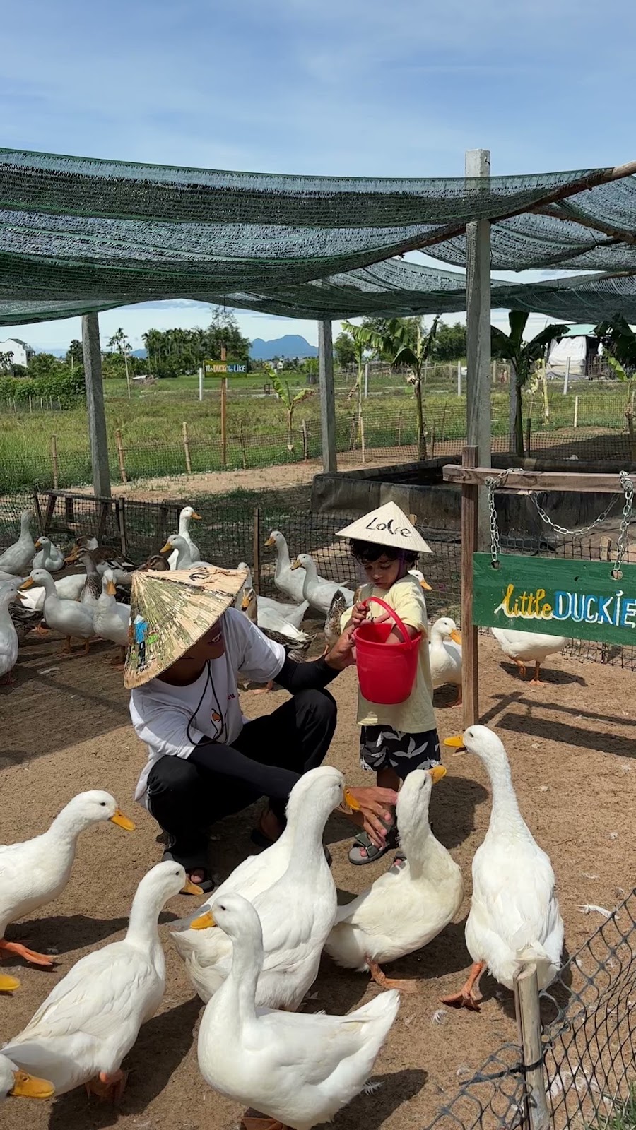 A local host helps a young visitor feed white ducks from a red bucket at Duck Stop farm near Hoi An