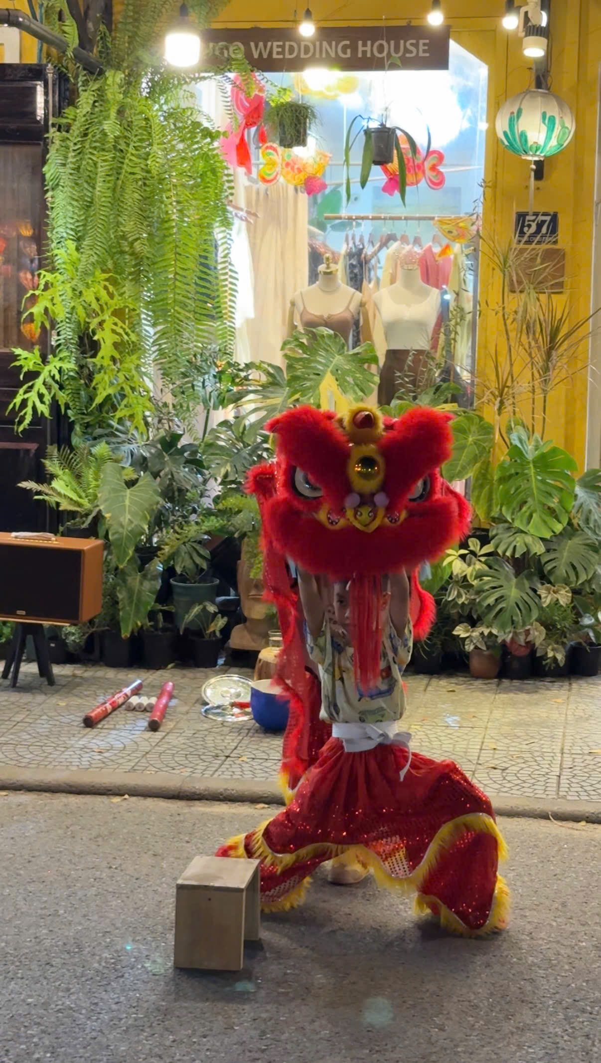 A red lion dance head displayed among plants in a Hoi An shop during the Mid-Autumn Festival