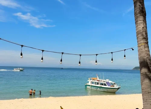 Cham Island (Cù Lao Chàm) Guide 2026: Snorkeling, Fishing & Why You Should Stay a Night