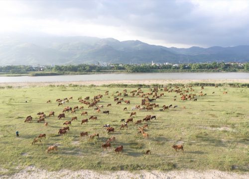 Khe Tân Lake, Da Nang: Cow Meadows, a Spillway and Lakeside Camping