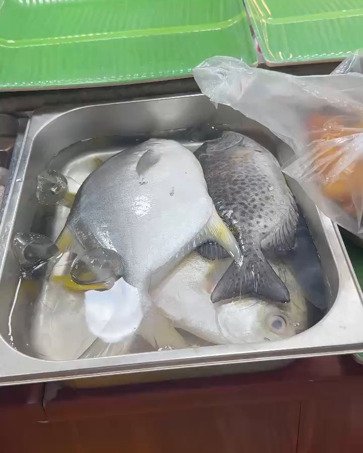 Fresh seafood on ice at a stall in Son Tra Night Market Da Nang