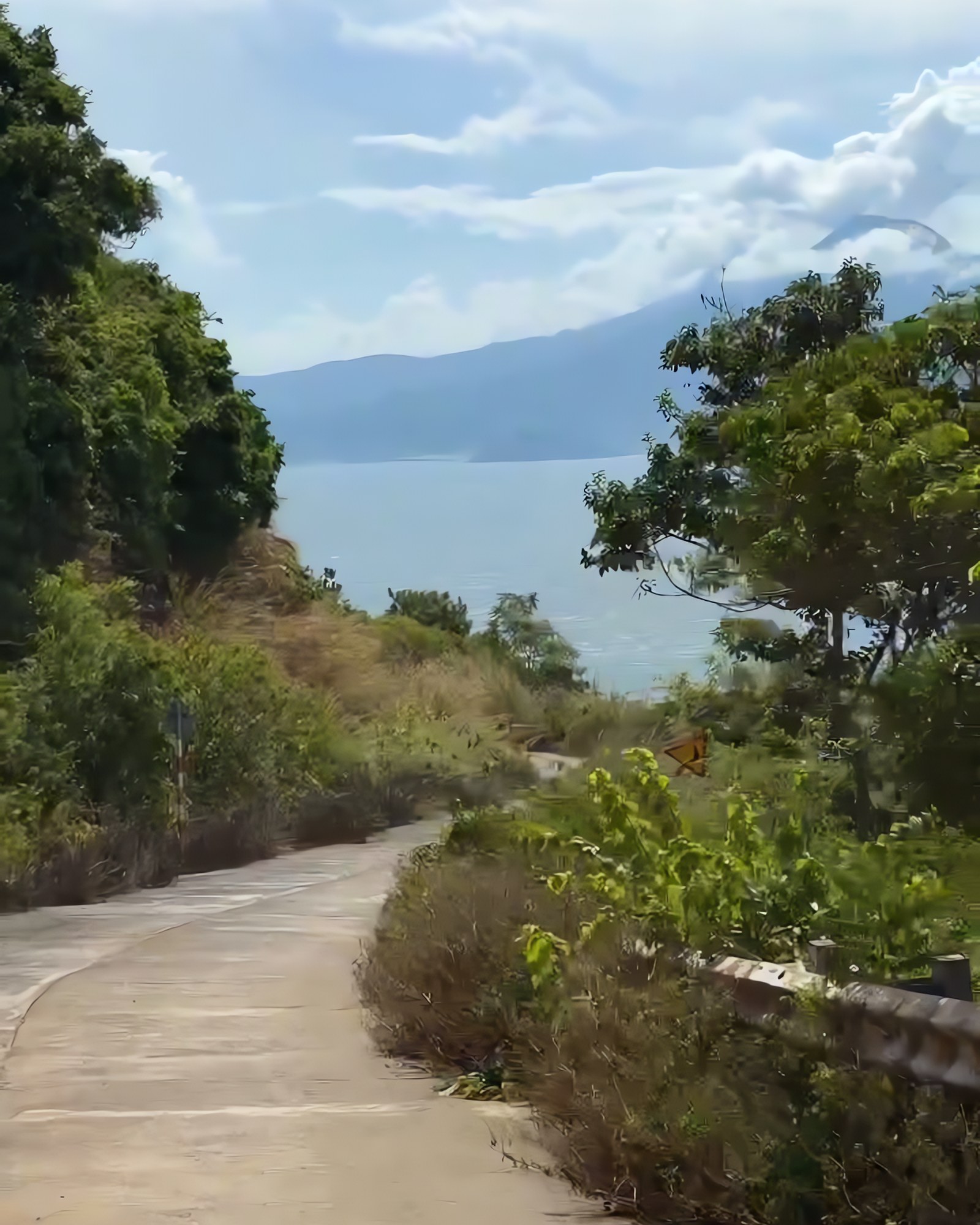Quiet road winding down the Son Tra Peninsula towards the sea in Da Nang