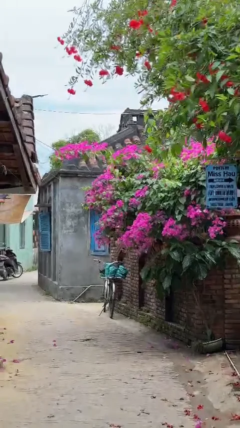 Quiet village lane with pink bougainvillea and a bicycle in Thanh Ha Pottery Village, Hoi An
